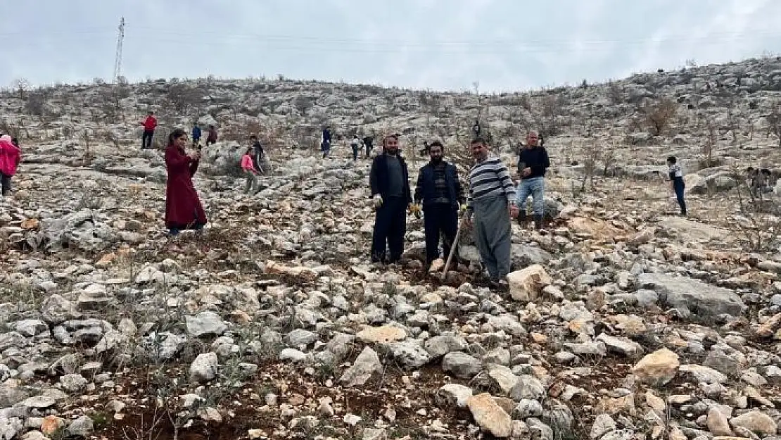 'Köylülerin 3 yıldır süren ağaçlandırma seferberliği'