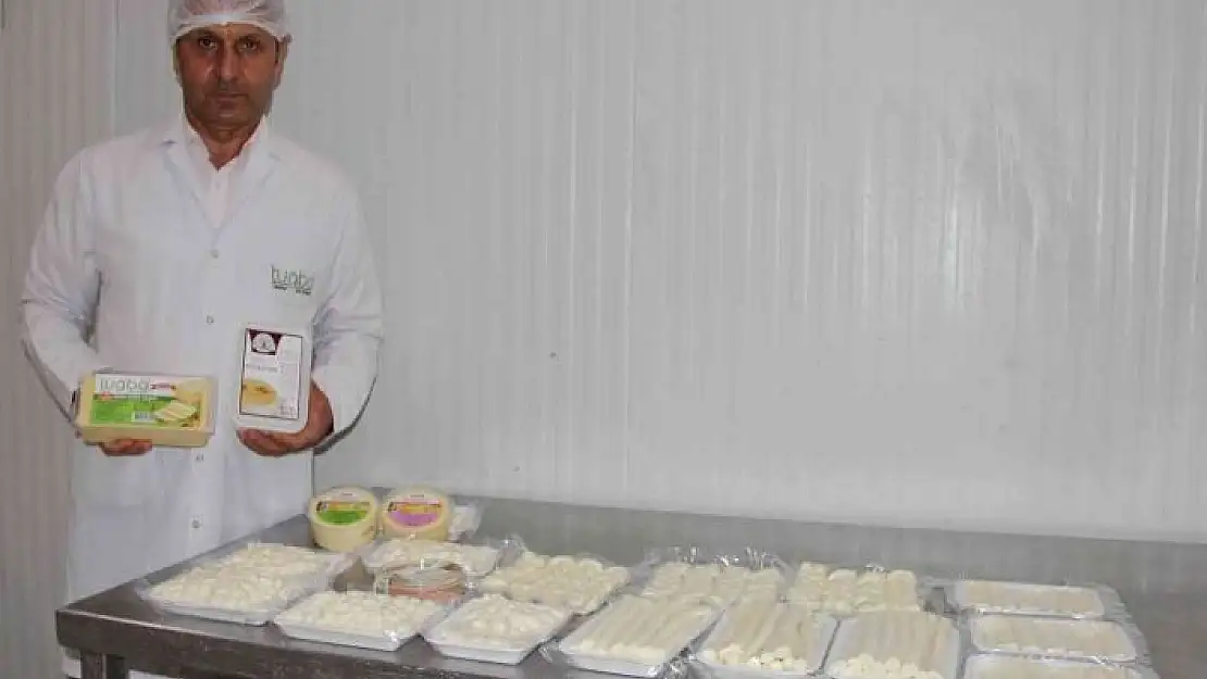 'Köylünün sütünü dolara çevirdiler'