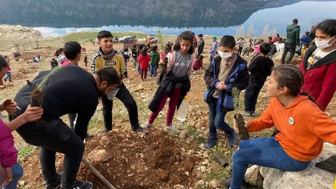 '`Köyümüz fidanla yeşilleniyor´'