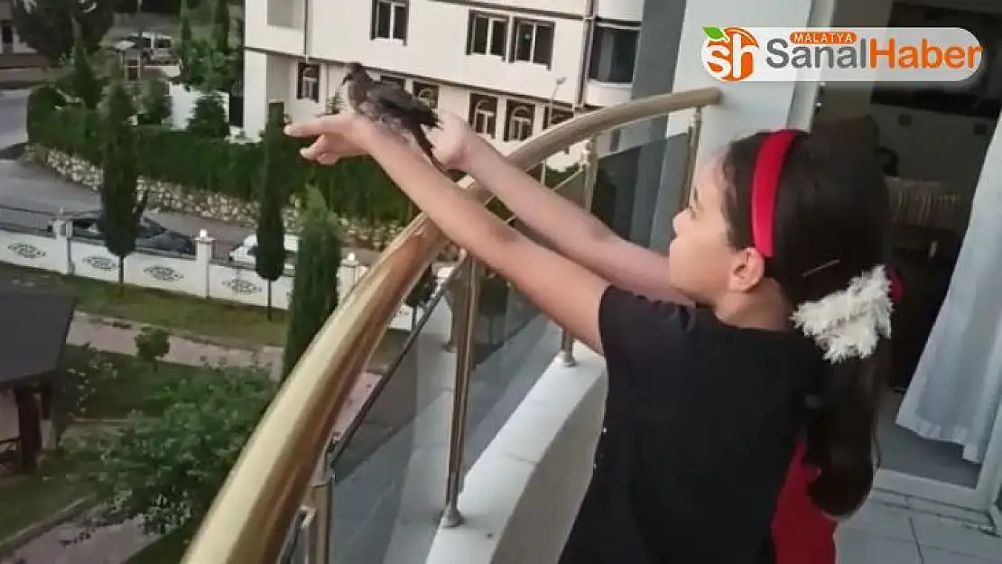 Küçük kardeşlerden örnek davranış