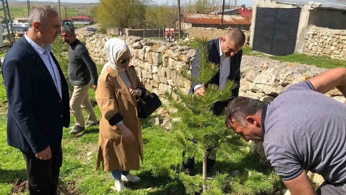 'Küpeli köyünde fidanlar toprakla buluştu'