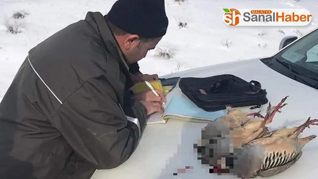 Kurallara uymayan avcılara suçüstü