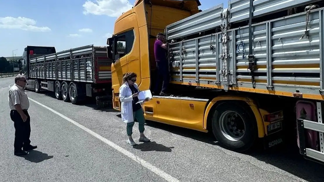 'Kurban Bayramı öncesi gıda denetimlerine hız verildi'