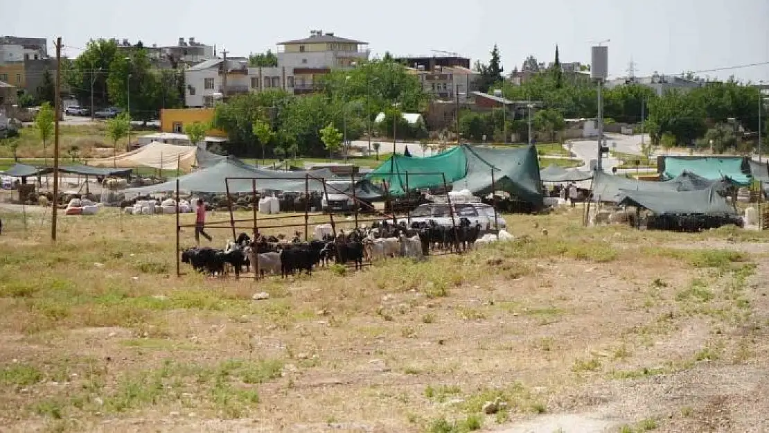 'Kurban kesim ve satış alanları belirlendi'