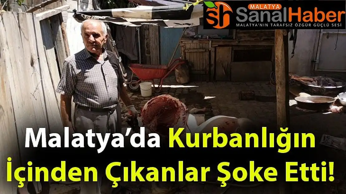 Kurbanlığın İçinden Çıkanlar Şoke Etti!