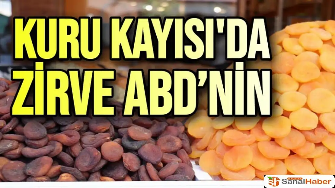 Kuru Kayısı'da Zirve ABD´nin