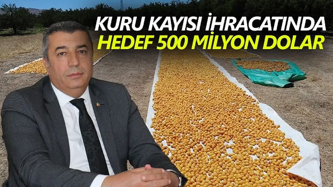 Kuru kayısı ihracatında hedef 500 milyon dolar