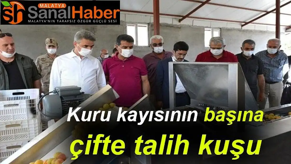 Kuru kayısının başına çifte talih kuşu