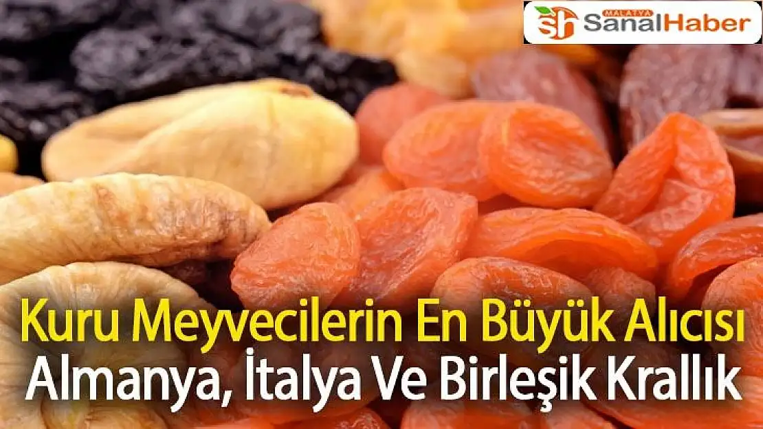 Kuru Meyvecilerin En Büyük Alıcısı Almanya, İtalya Ve Birleşik Krallık