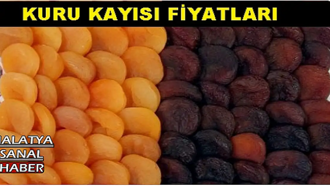 MALATYA'DA GÜNCEL KURU KAYISI FİYATLARI