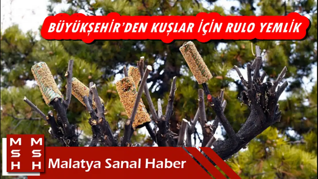  BÜYÜKŞEHİR´DEN KUŞLAR İÇİN RULO YEMLİK