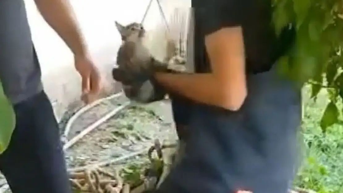 'Kuyuya düşen kedi kurtarıldı'