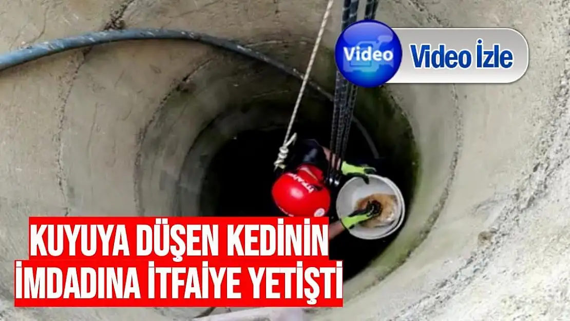 Kuyuya düşen kedinin imdadına itfaiye yetişti