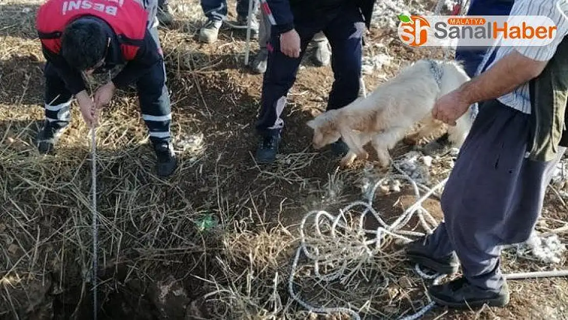 Kuyuya düşen oğlak kurtarıldı