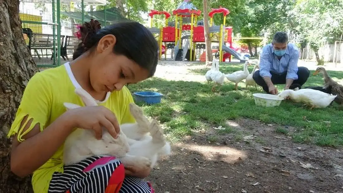 'Mahalle muhtarı, çocuklar için mini hayvanat bahçesi yaptı'