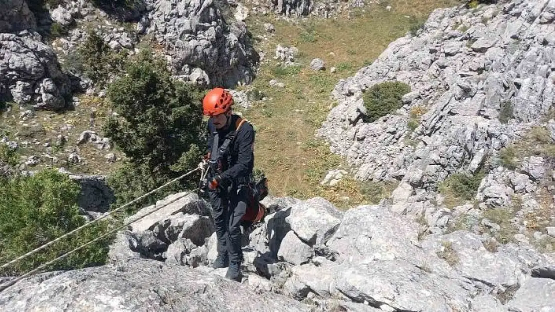 'Mahsur kalan küçükbaş hayvanlar kurtarıldı'