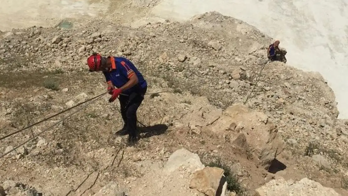 'Mahsur kalan yavru dağ keçileri kurtarıldı'