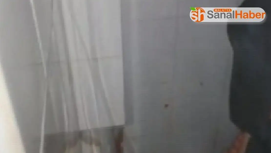 Mahsur kalan yavru kedi, itfaiyenin operasyonuyla kurtarıldı
