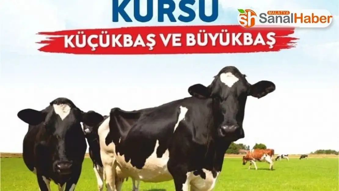 Malatya Büyükşehir'den kurban kesim kursu