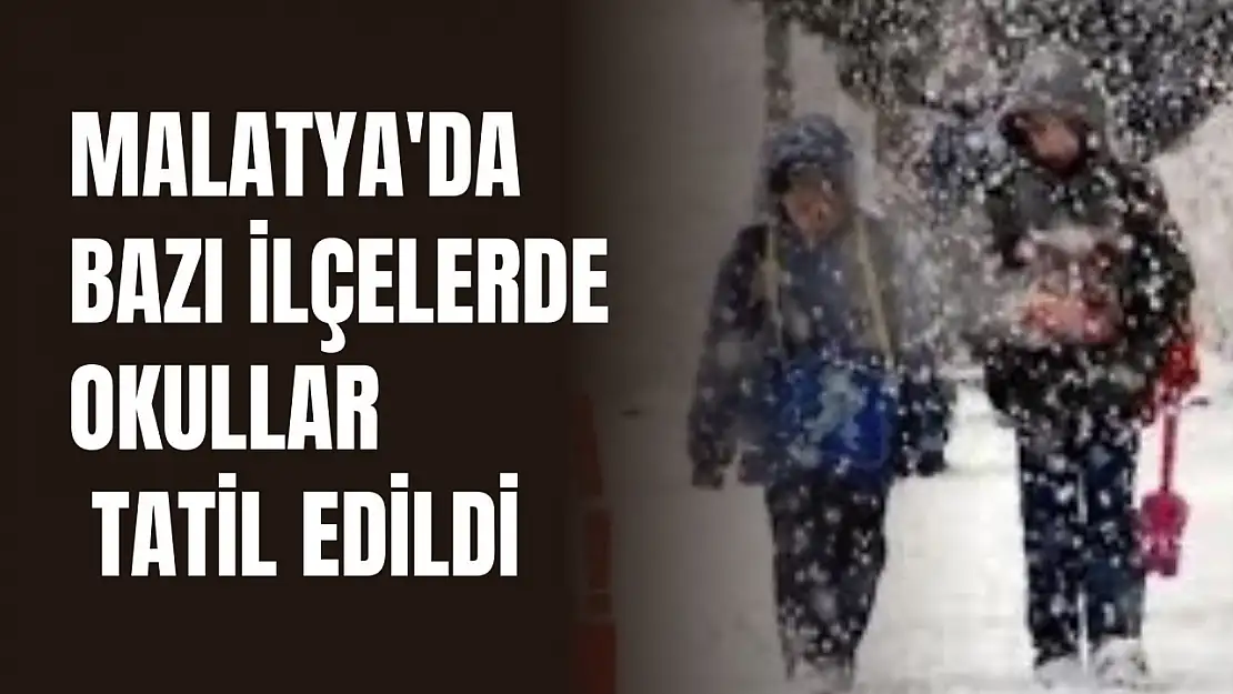 Malatya'da 10 ilçede okullar tatil edildi