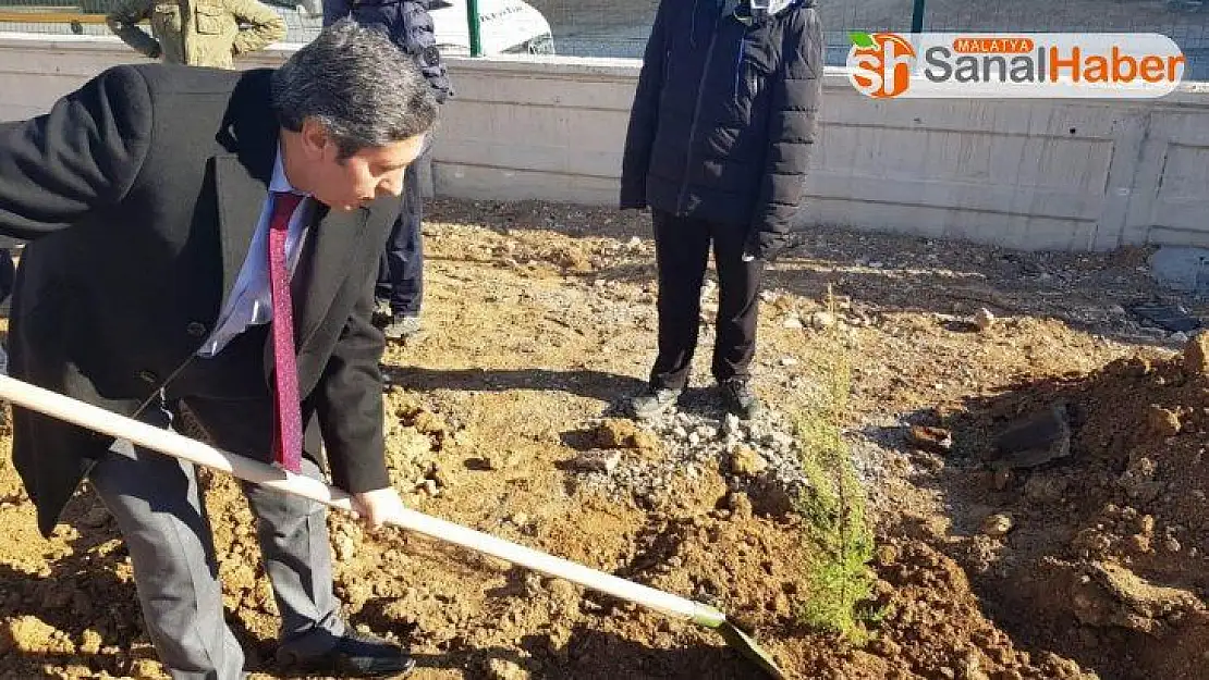 Malatya'da 100 fidan Toprak Dede'yle aynı gün toprakla buluşturuldu