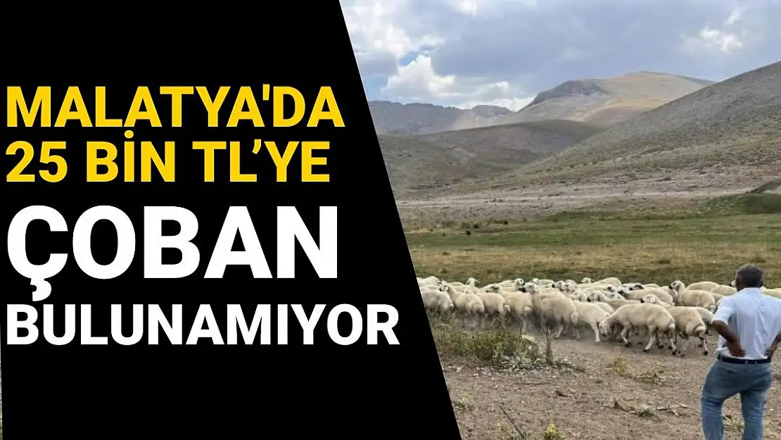 Malatya´da 25 bin TL´ye çoban bulunamıyor