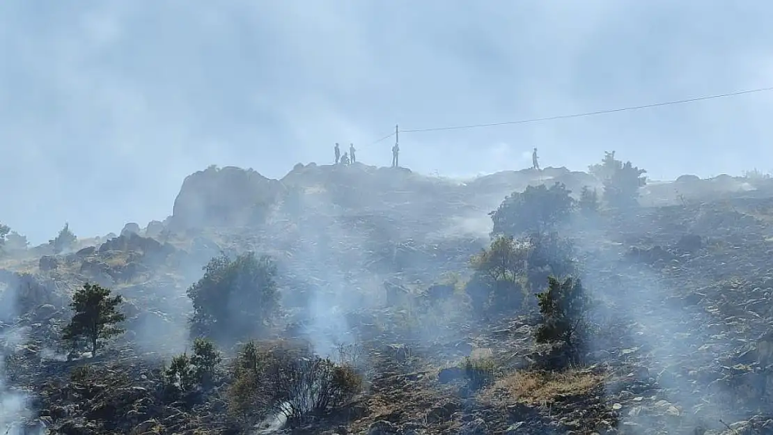 Malatya'da 3 ayrı noktada ot yangını