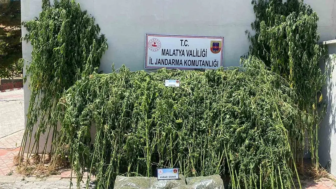 Malatya'da 36 kilo esrar ele geçirildi