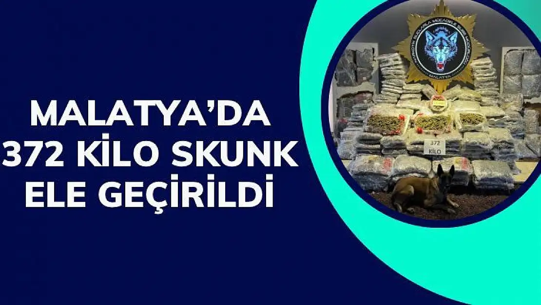 Malatya´da 372 kilo skunk ele geçirildi