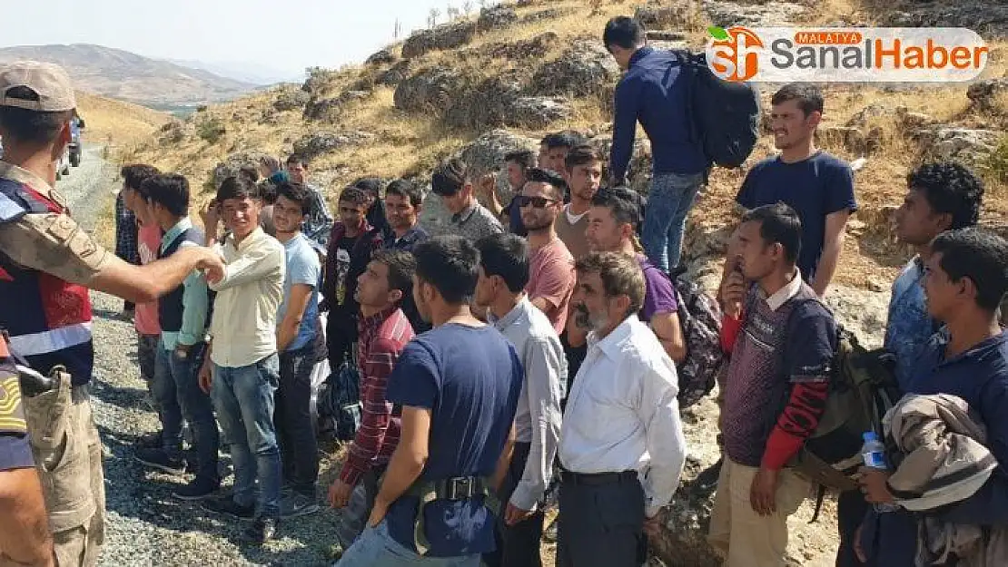 Malatya'da 39 kaçak göçmen yakalandı