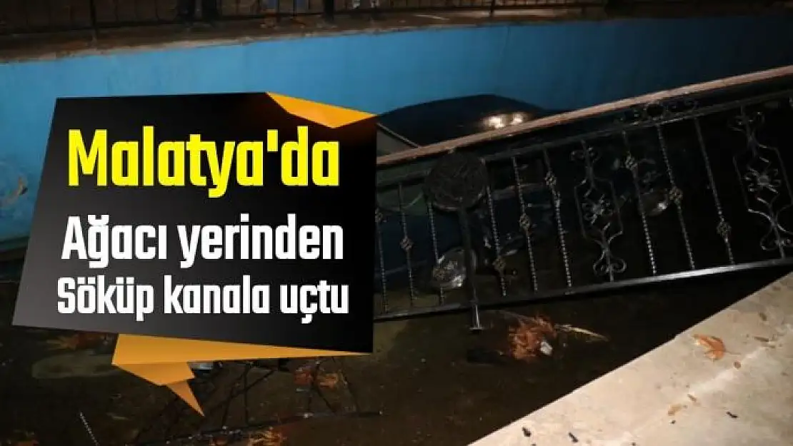 Malatya'da Ağacı yerinden söküp kanala uçtu