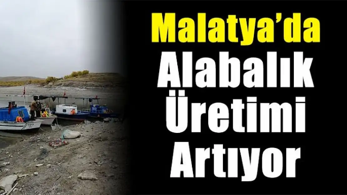 Malatya´da alabalık üretimi artıyor