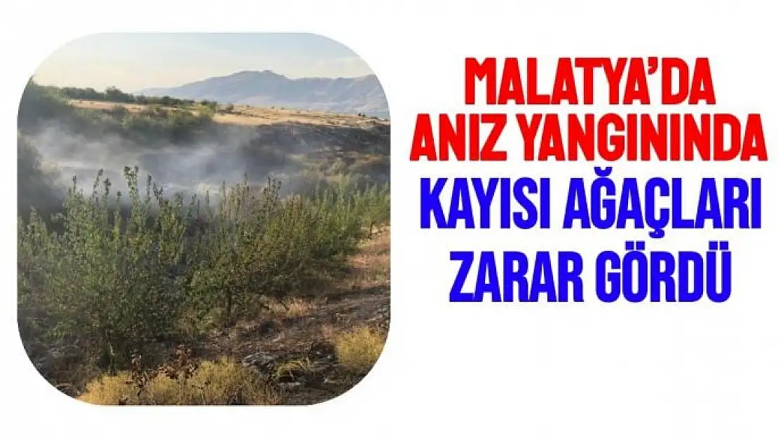 Malatya´da anız yangınında kayısı ağaçları zarar gördü