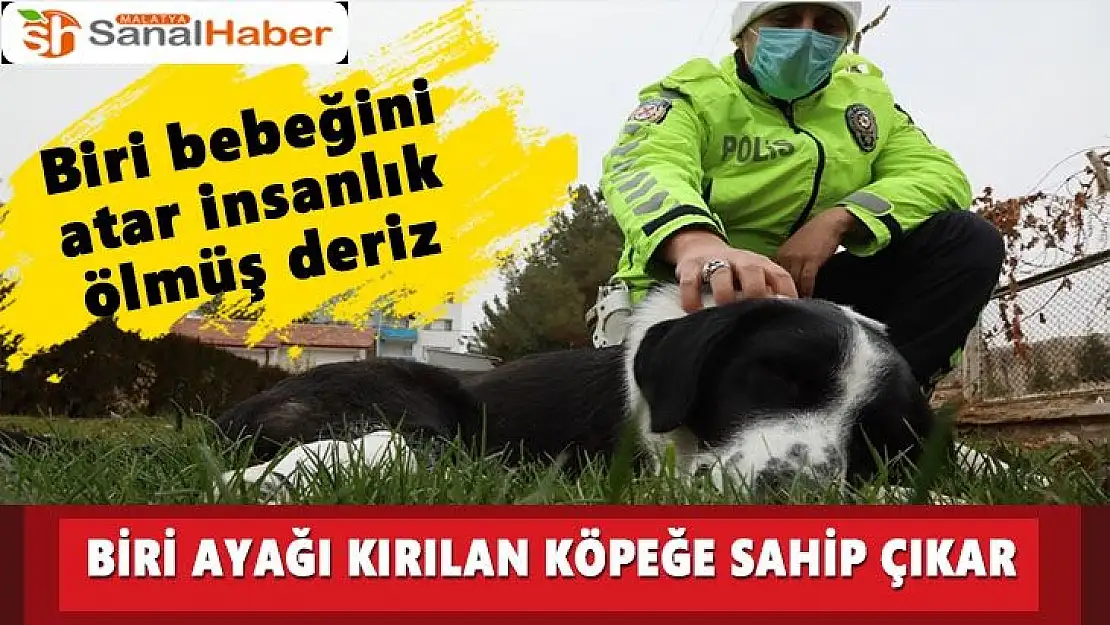 Malatya´da ayağı kırılan köpeğe polis sahip çıktı