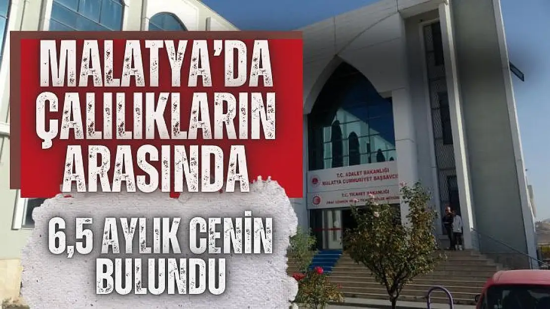 Malatya´da çalılıkların arasında 6,5 aylık cenin bulundu