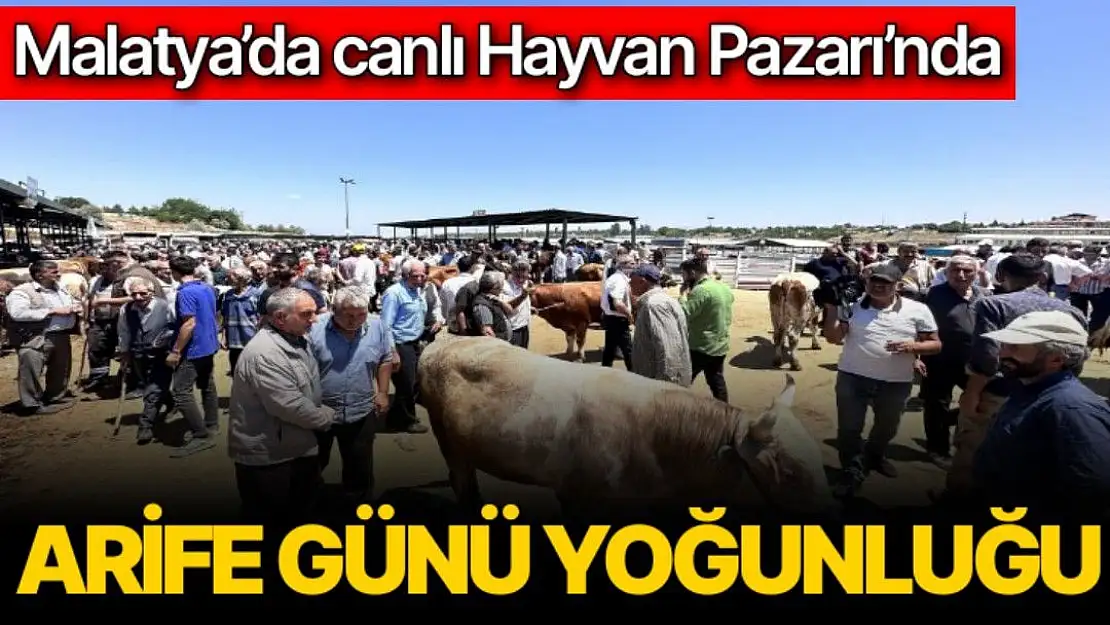 Malatya´da canlı Hayvan Pazarı´nda Arife günü yoğunluğu