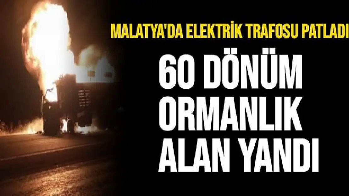 Malatya'da Elektrik trafosu patladı, 60 dönüm ormanlık alan yandı