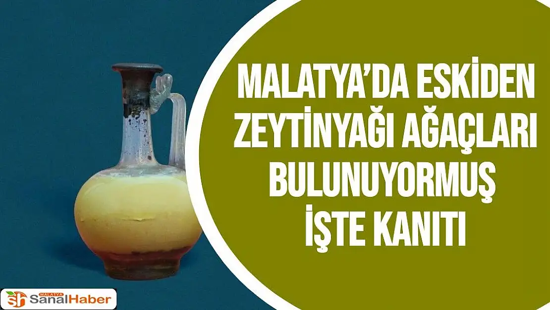 Malatya´da eskiden zeytinyağı ağaçları bulunuyormuş