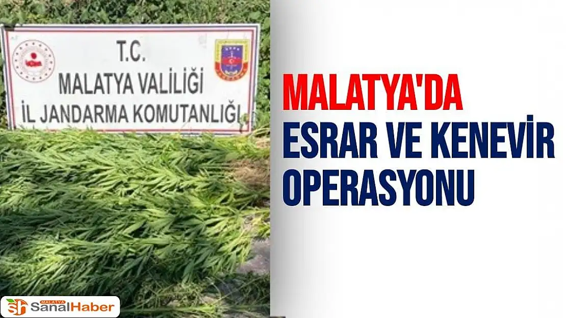 Malatya´da esrar ve kenevir operasyonu