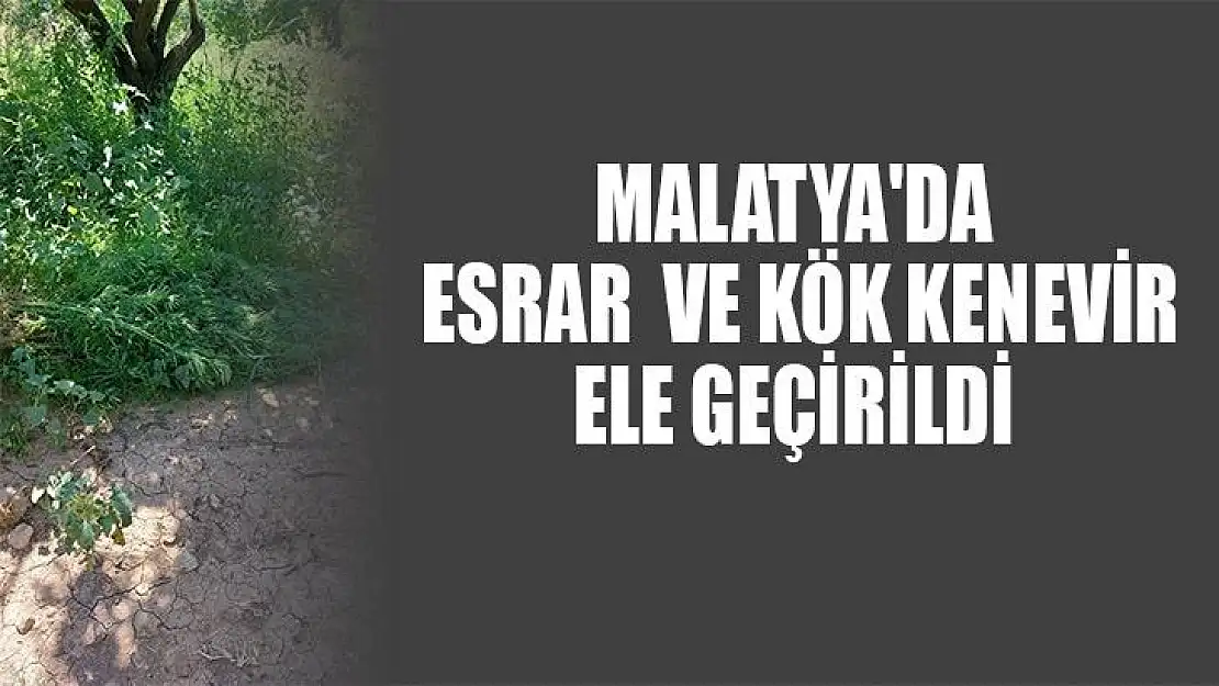 Malatya'da  esrar ve kök kenevir ele geçirildi