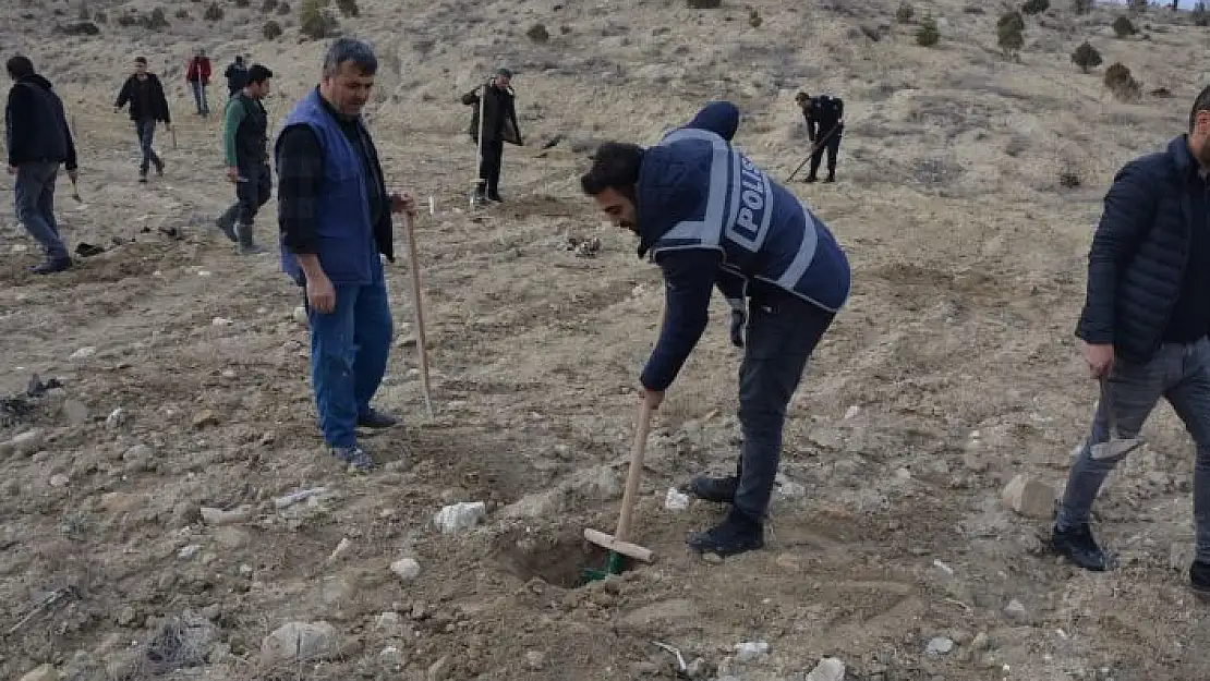 'Malatya´da fidanlar, şehit polisin anısına toprakla buluşturuldu'