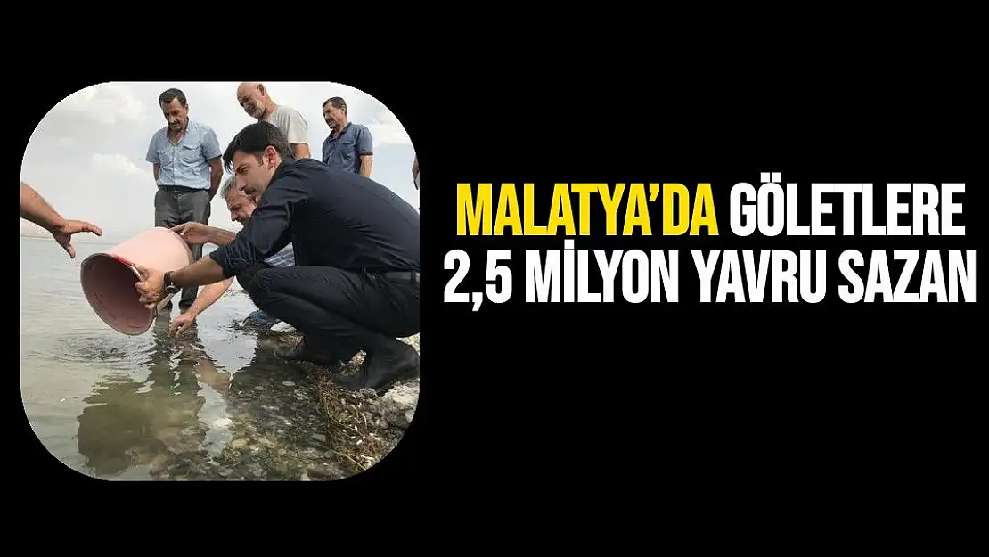 Malatya´da göletlere 2,5 milyon yavru sazan