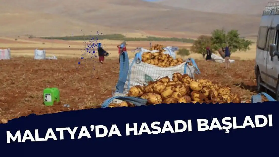 Malatya´da hasadı başladı