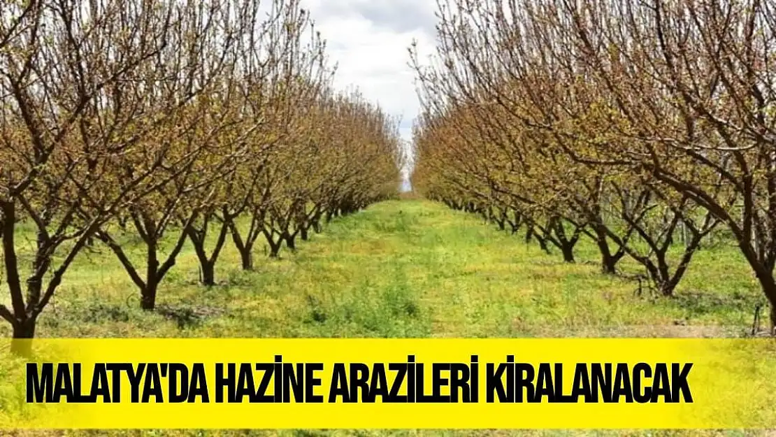 Malatya'da hazine arazileri kiralanacak