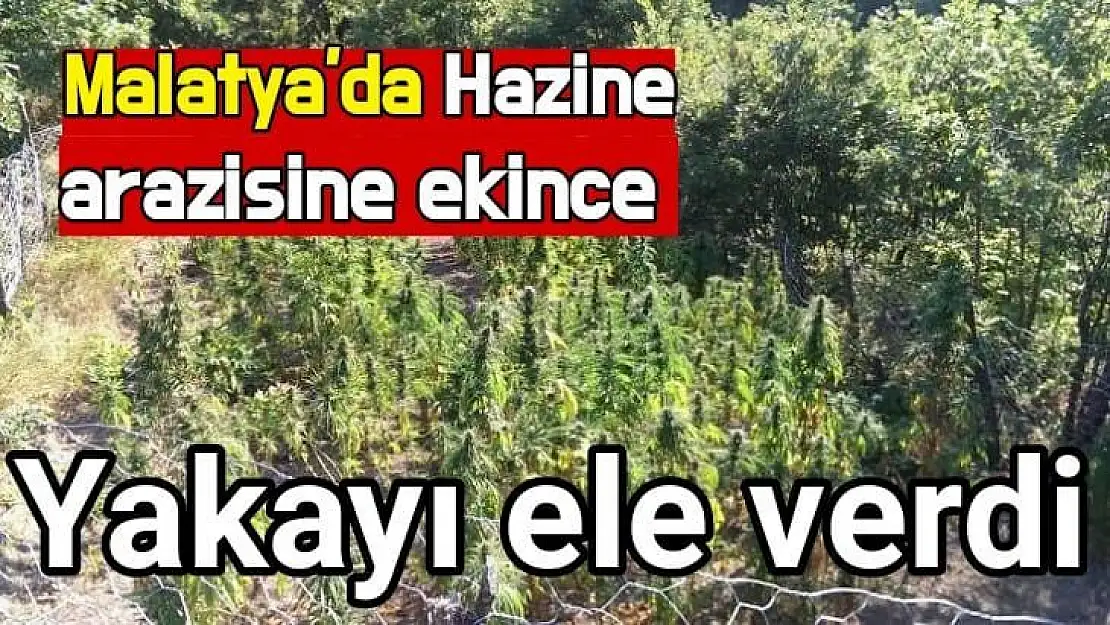 Malatya'da Hazine arazisine ekince yakayı ele verdi