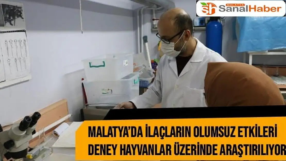 Malatya´da İlaçların olumsuz etkileri deney hayvanlar üzerinde araştırılıyor
