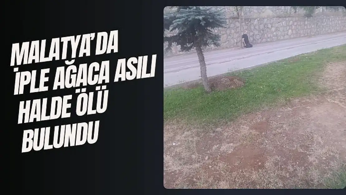 Malatya'da iple ağaca asılı halde ölü bulundu