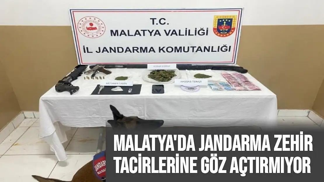 Malatya'da Jandarma zehir tacirlerine göz açtırmıyor