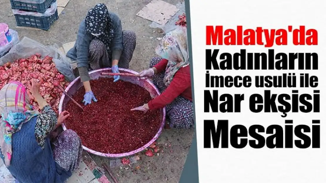 Malatya'da Kadınların imece usulü ile nar ekşisi mesaisi