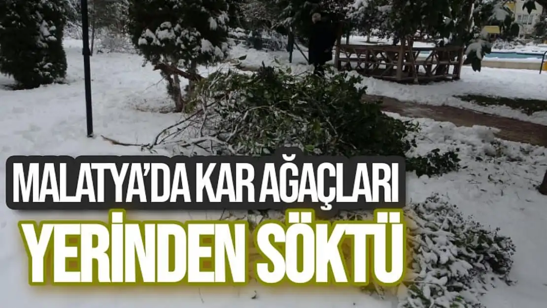 Malatya´da kar ağaçları yerinden söktü